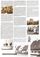 Gänsereiter-Zeitung 1994 | <a class="print" href="#" onclick="return hs.printImage(this)">Bild drucken</a>